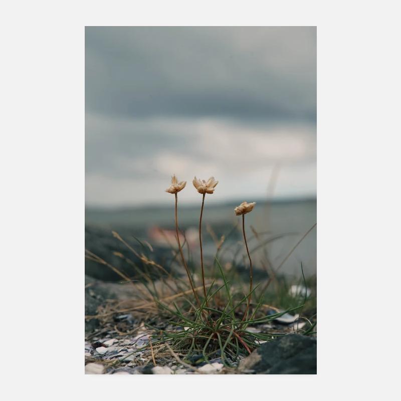 Ozean Poster 20x30 cm