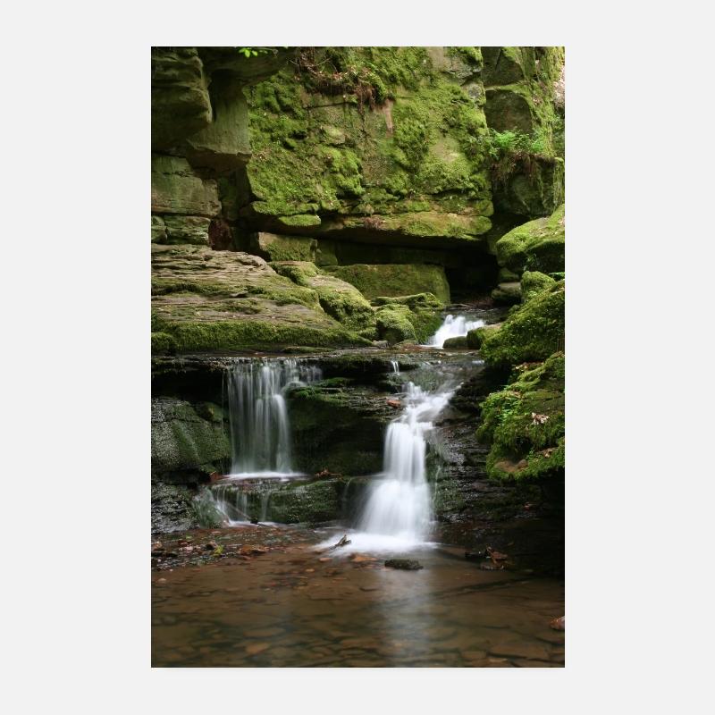 Forêt-Noire Monbach Poster 20 x 30 cm