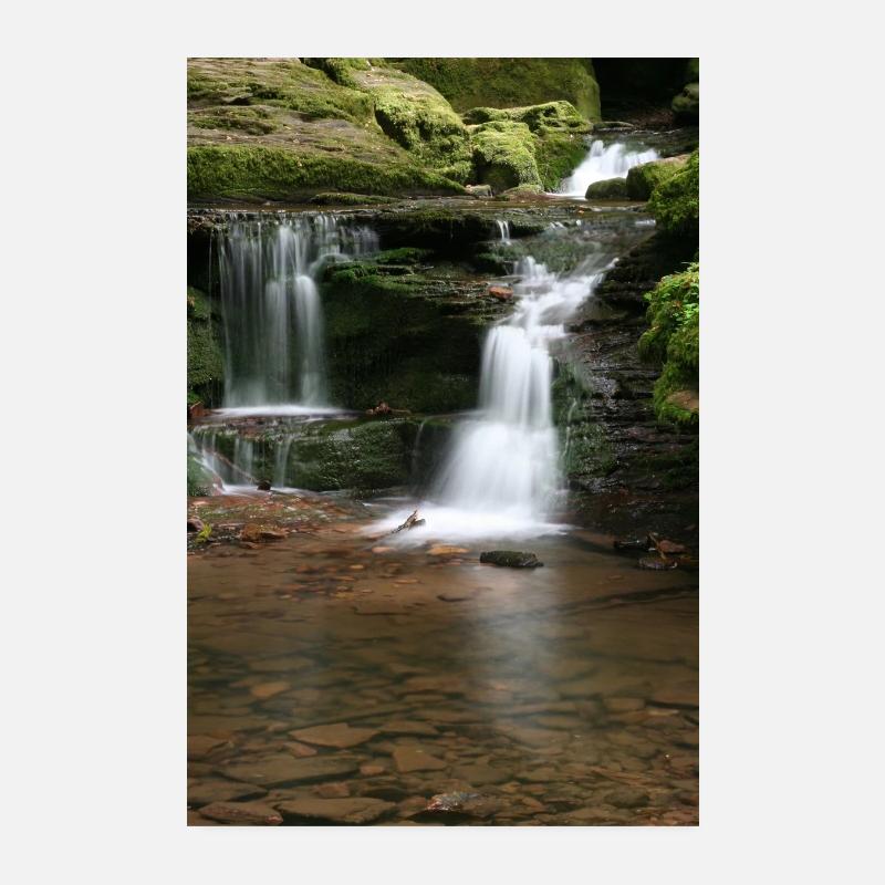 Black Forest Monbach - Poster 8" x 12" (20x30 cm) - white