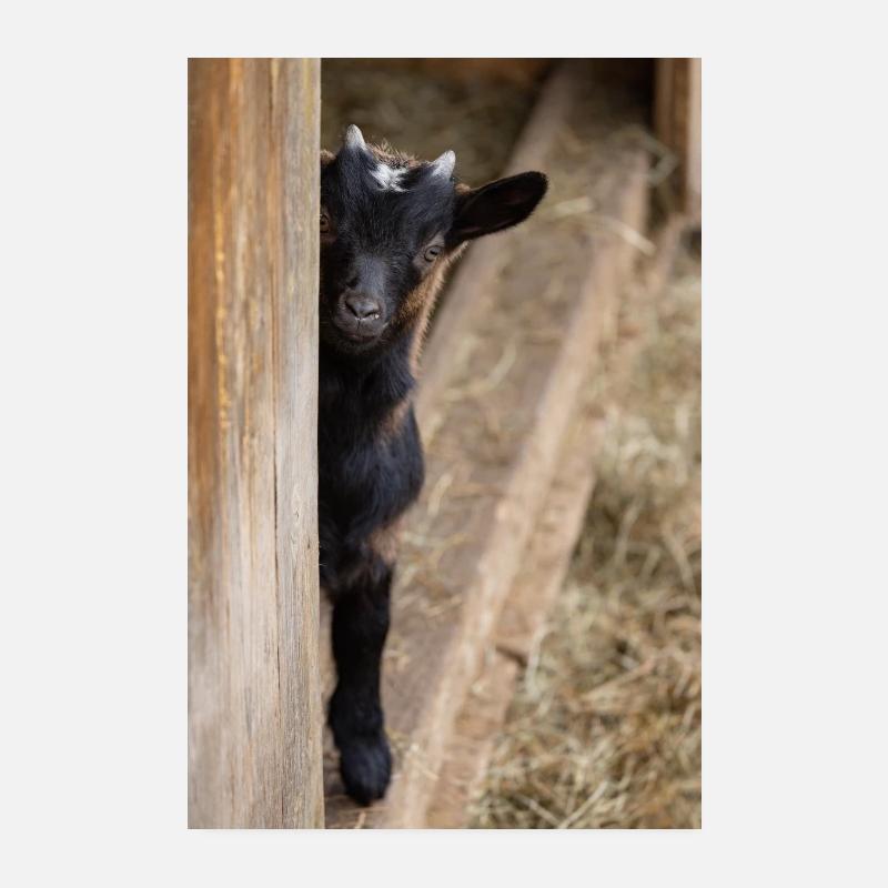 Qu’est-ce que tu guggs ? Poster 20 x 30 cm