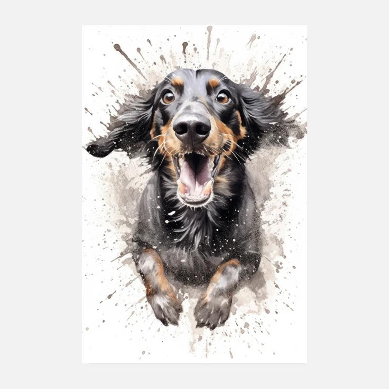 Éclaboussures de chien teckel - Poster 20 x 30 cm - blanc