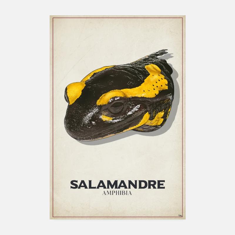 Poster Salamandre V2 Poster 20 x 30 cm