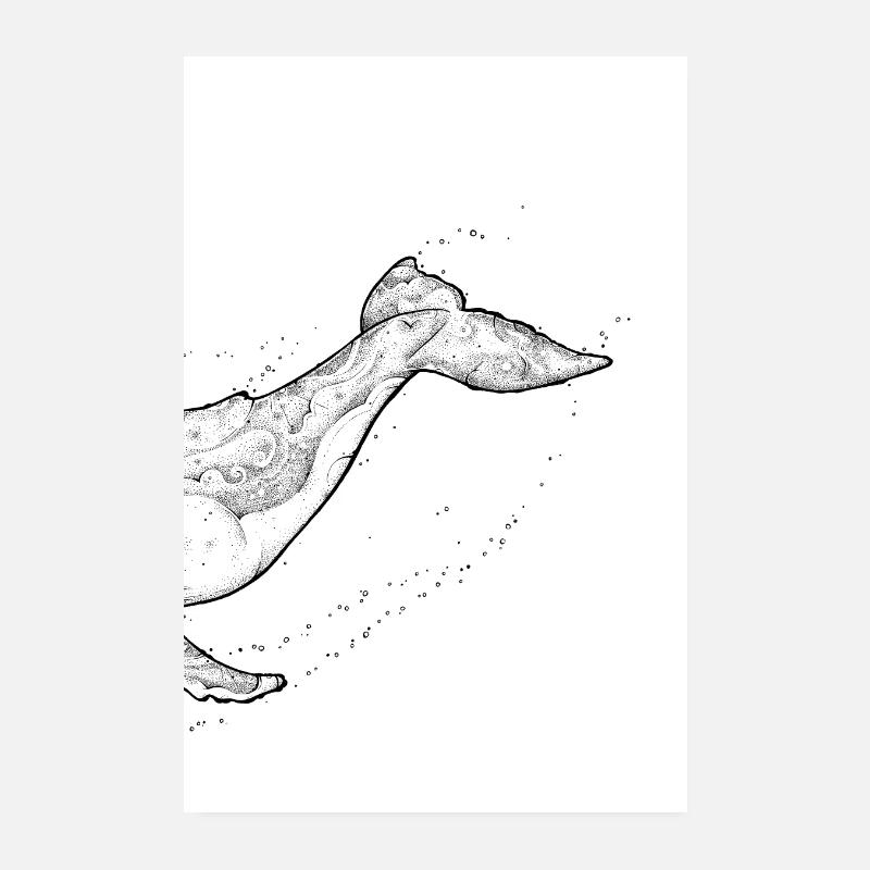 Humpback Whale B Poster 8" x 12" (20x30 cm)