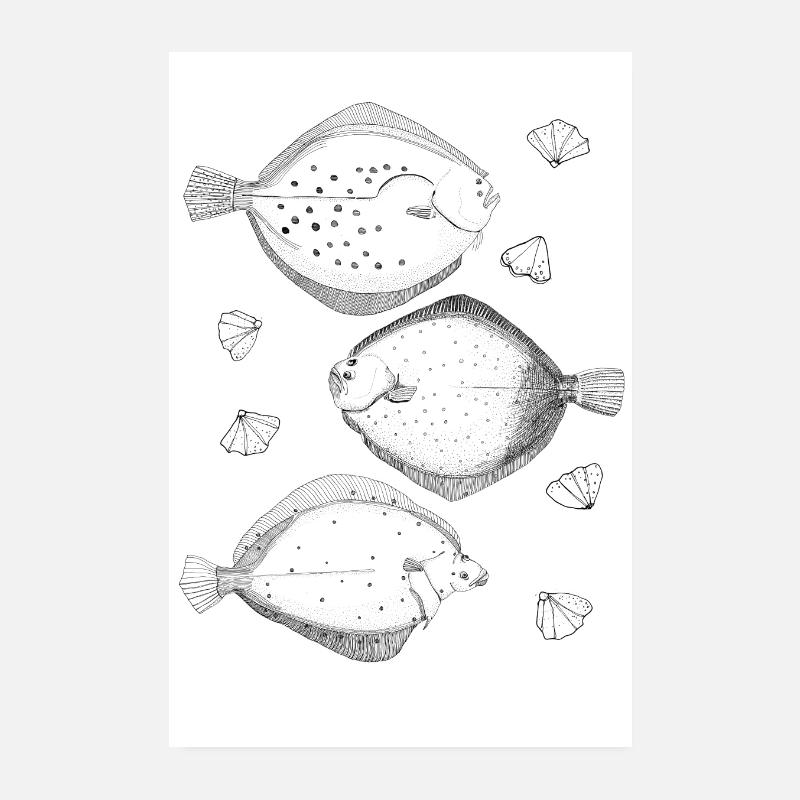 Plattfisch-Poster Poster 20x30 cm