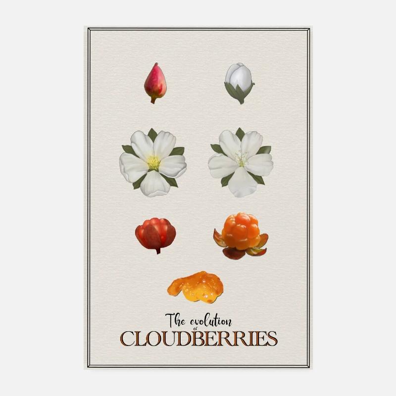 Die Evolution der Moltebeeren Poster Poster 20x30 cm