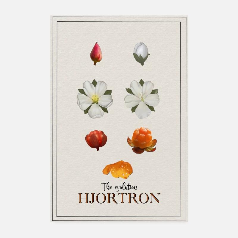 L’évolution de la chicouté Poster Poster 20 x 30 cm