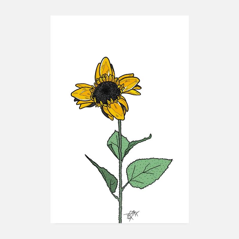 TREFLE DU SOLEIL - Poster 20 x 30 cm - blanc