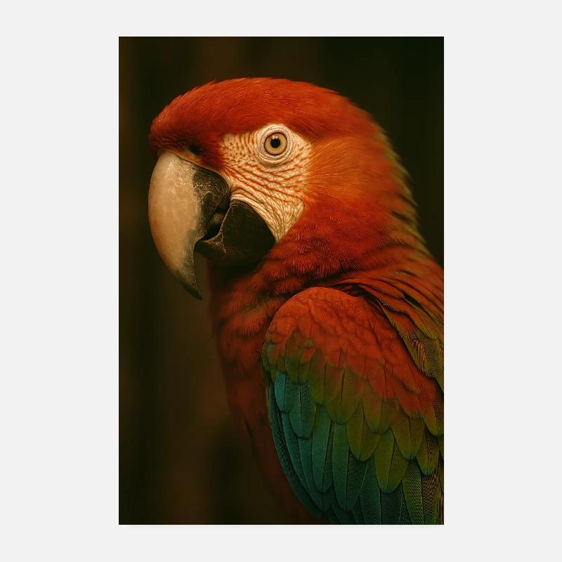 Tiere - Papagei Poster 20x30 cm