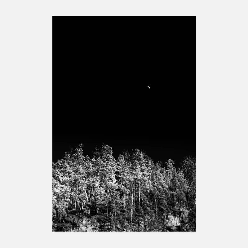 Forêt nocturne en tons monochromes Poster 20 x 30 cm