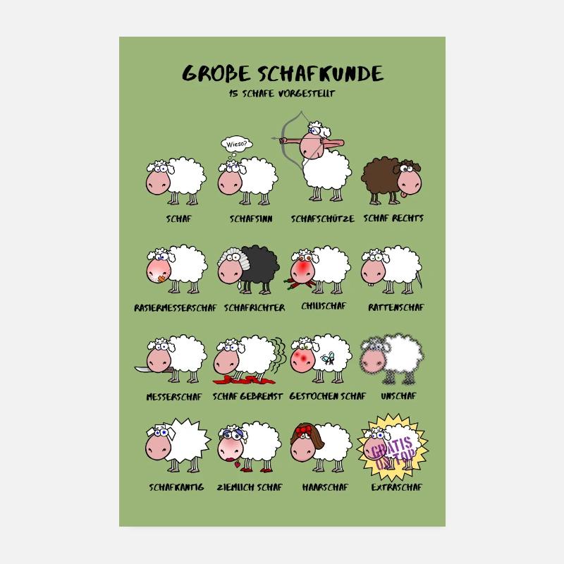 Große Schafkunde Poster Edition Poster 20x30 cm