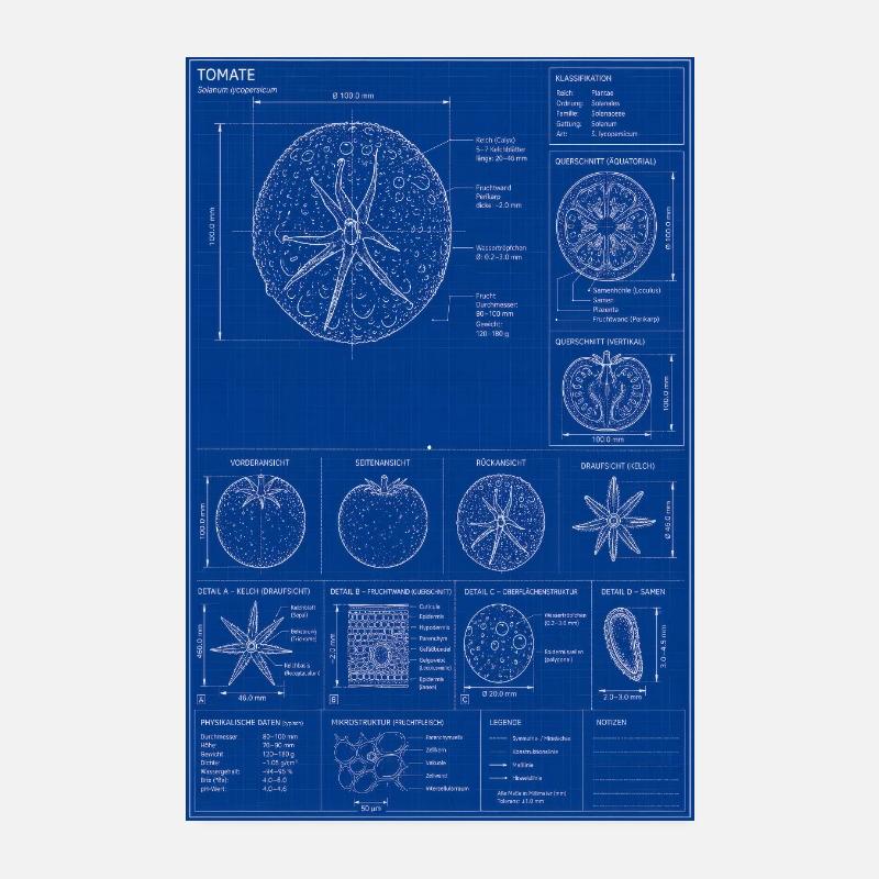 Tomato Blueprint Diagram Poster 8" x 12" (20x30 cm)