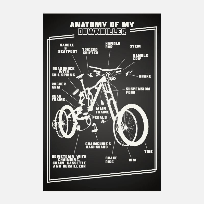 Anatomie Downhill VTT vélo - Poster 20 x 30 cm - blanc