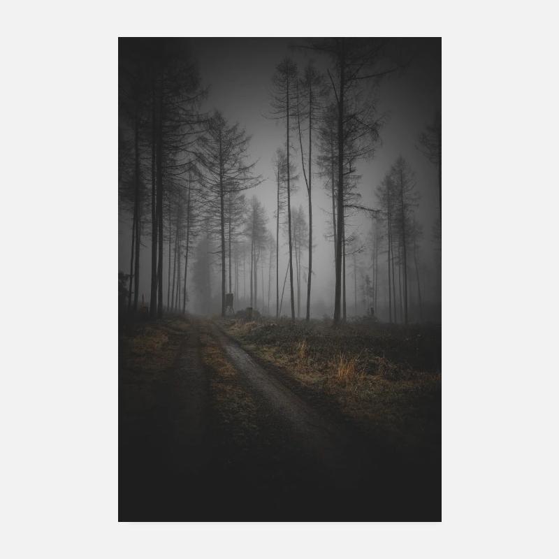 foggy forest v1 - Poster 20x30 cm - Weiß