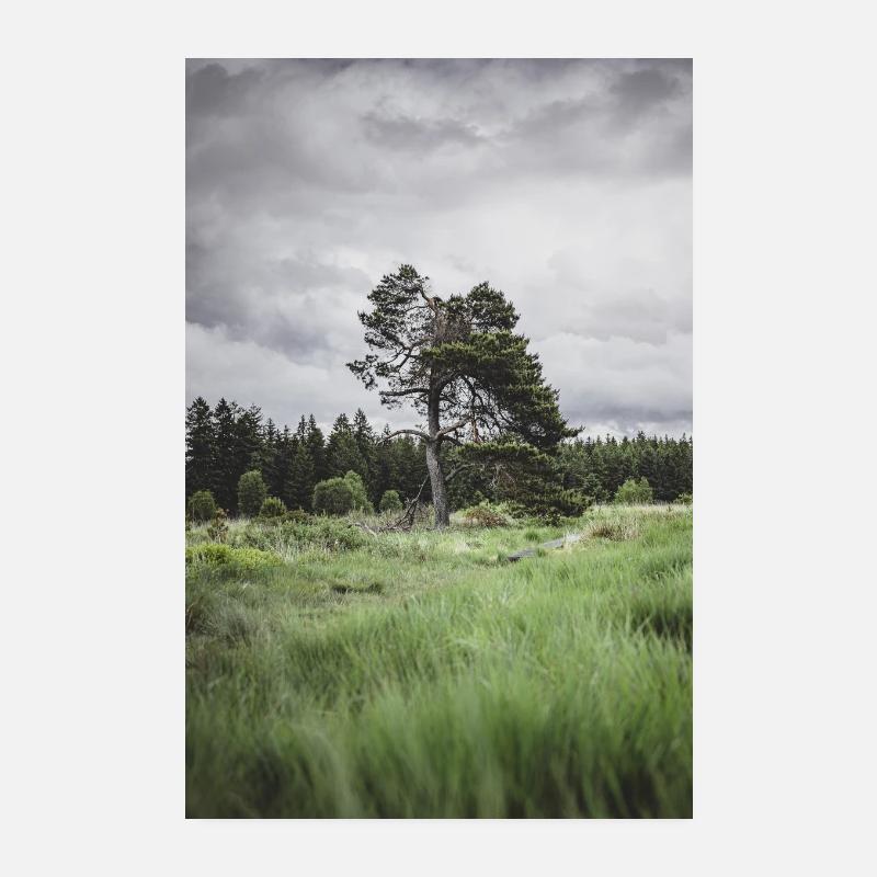 Lonely tree - Poster 20x30 cm - Weiß