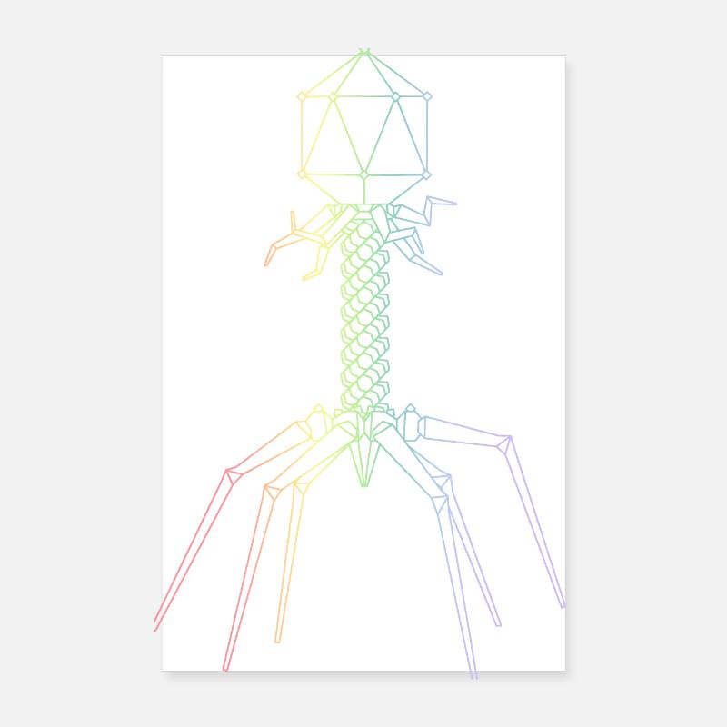 Phages Poster 8" x 12" (20x30 cm)