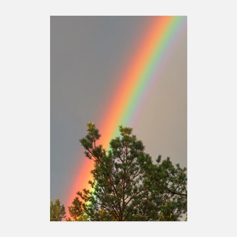 Arc-en-ciel Poster 20 x 30 cm