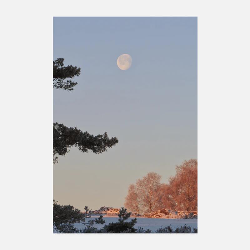 Lune le matin Poster 20 x 30 cm