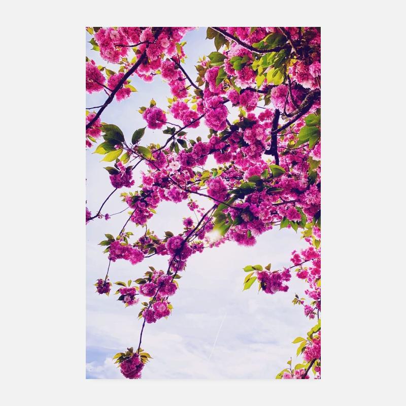 Blumen Poster 20x30 cm