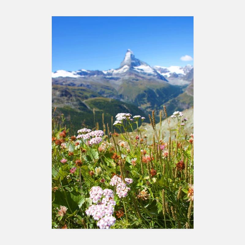 cervin - Poster 20 x 30 cm - blanc