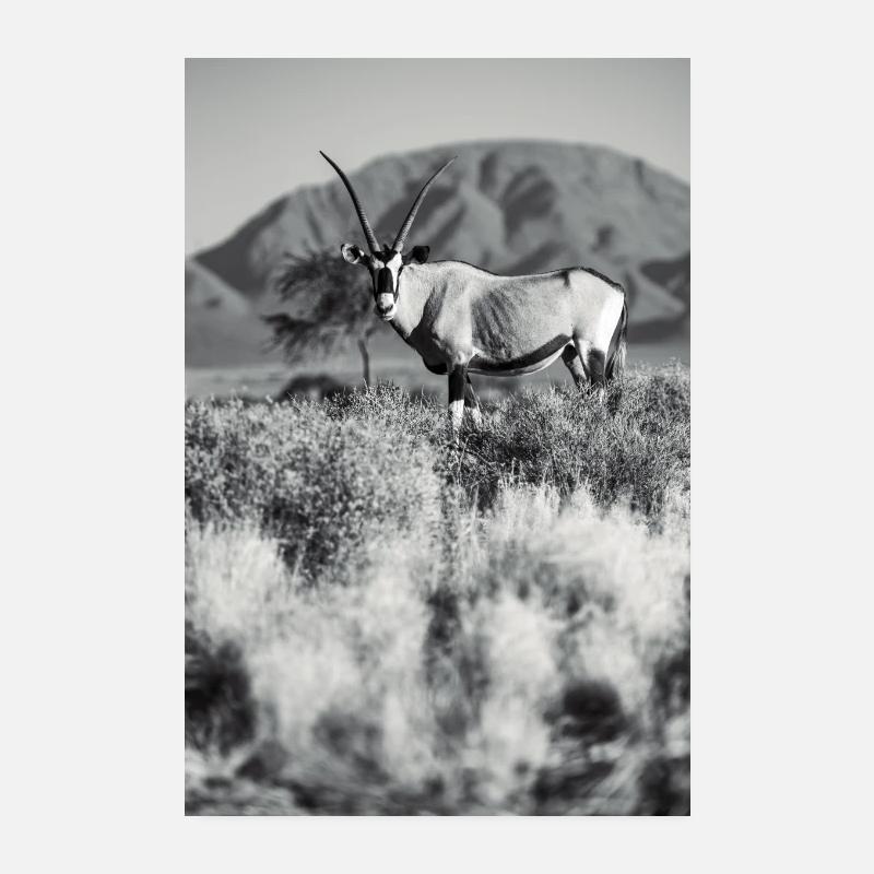 Namibia Orxy Antelope Poster 8" x 12" (20x30 cm)