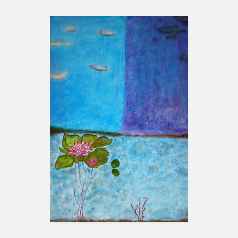 classification raunkier hydrophyte mélika Poster 20 x 30 cm