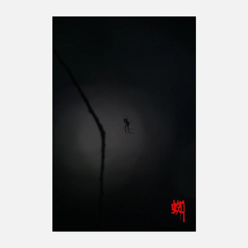 Spider in the red Kumo dim light Poster 8" x 12" (20x30 cm)