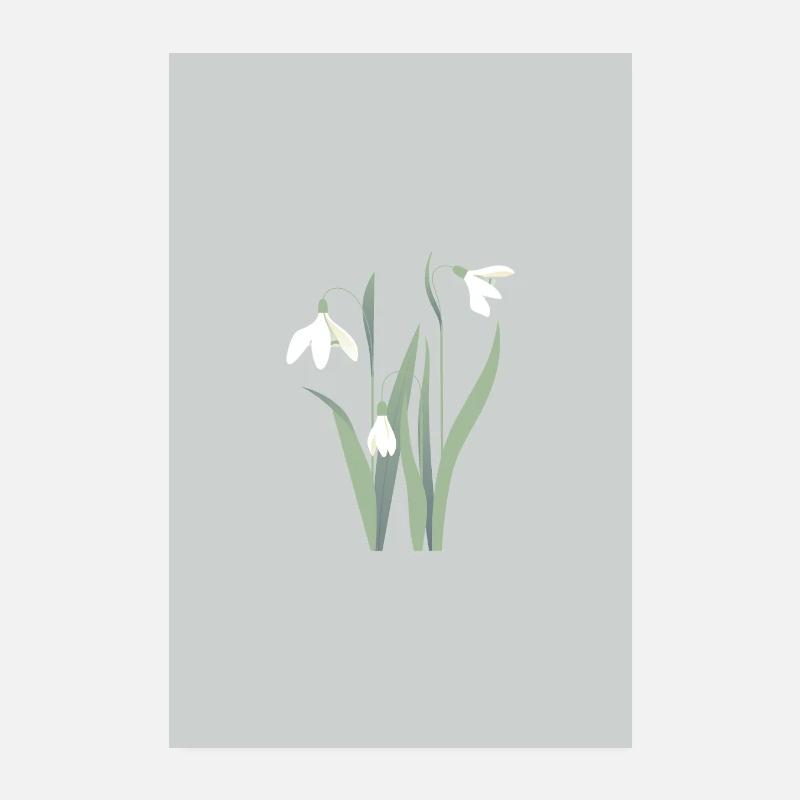 Erste Blumen - Schneeglöckchen - Poster 20x30 cm - Weiß