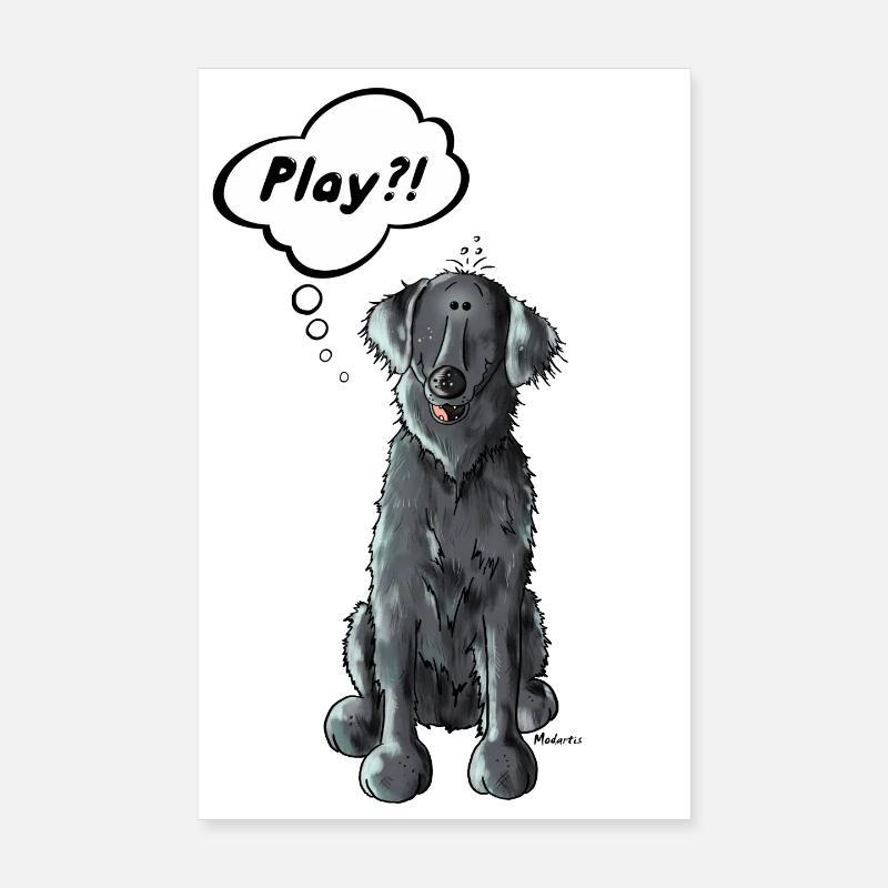 Drôle Retriever à poil plat Poster 20 x 30 cm