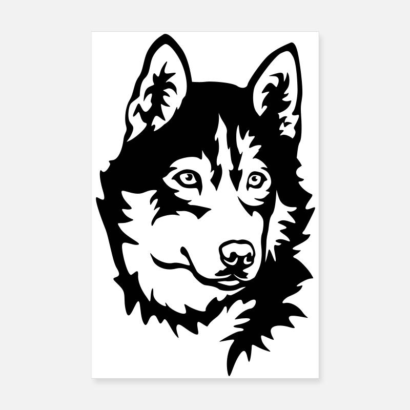 Husky Kopf - Poster 20x30 cm - Weiß