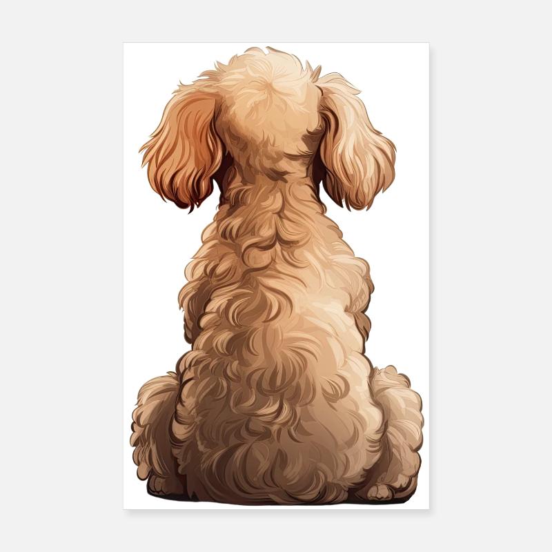Pudel - Poster 20x30 cm - Weiß