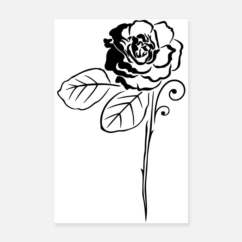 Rose Roses Fleur Fleur Poster 20 x 30 cm
