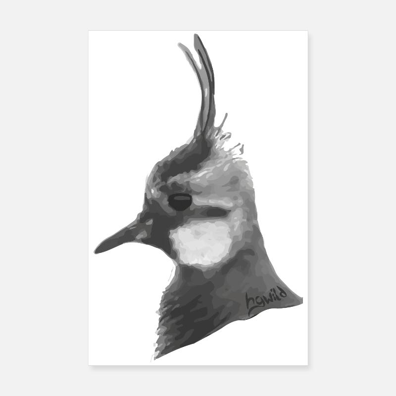 Lapwing Portrait - Gray Bird's Head with Feather Crown - Poster 8" x 12" (20x30 cm) - white