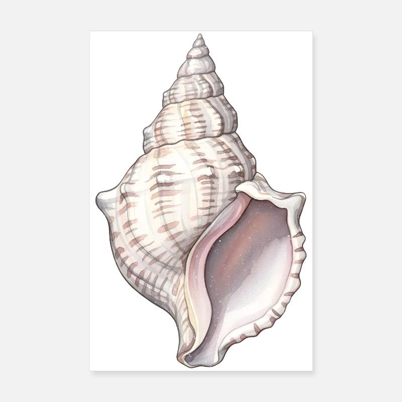 Spirale de coquillage Poster 20 x 30 cm