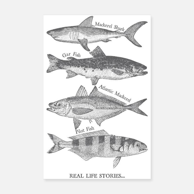 Real Life Fish Silhouettes Poster 8" x 12" (20x30 cm)