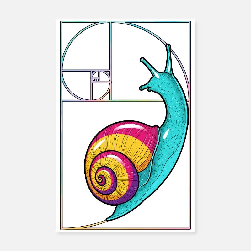 Fibonacci Spiral Snail - Poster 20x30 cm - Weiß