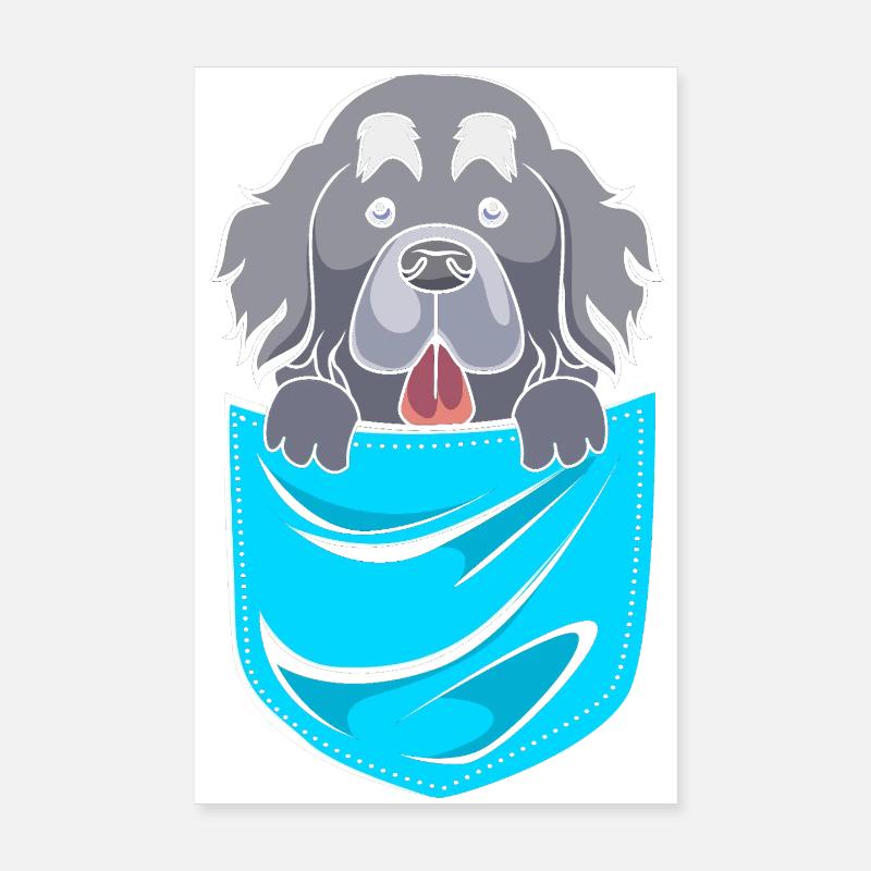 Terre-Neuve Poster 20 x 30 cm
