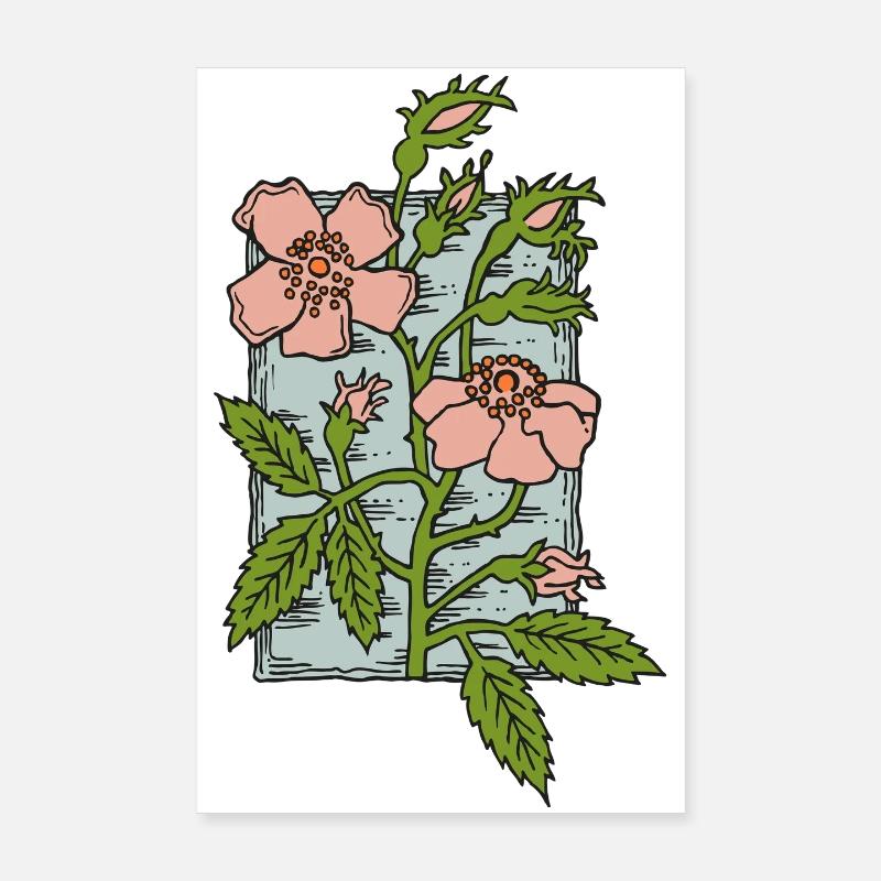 Musc Rose, timbre de fleur de style vintage dessiné à la main Poster 20 x 30 cm