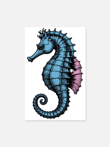 Sea horse - Poster 8" x 12" (20x30 cm) - white - Front