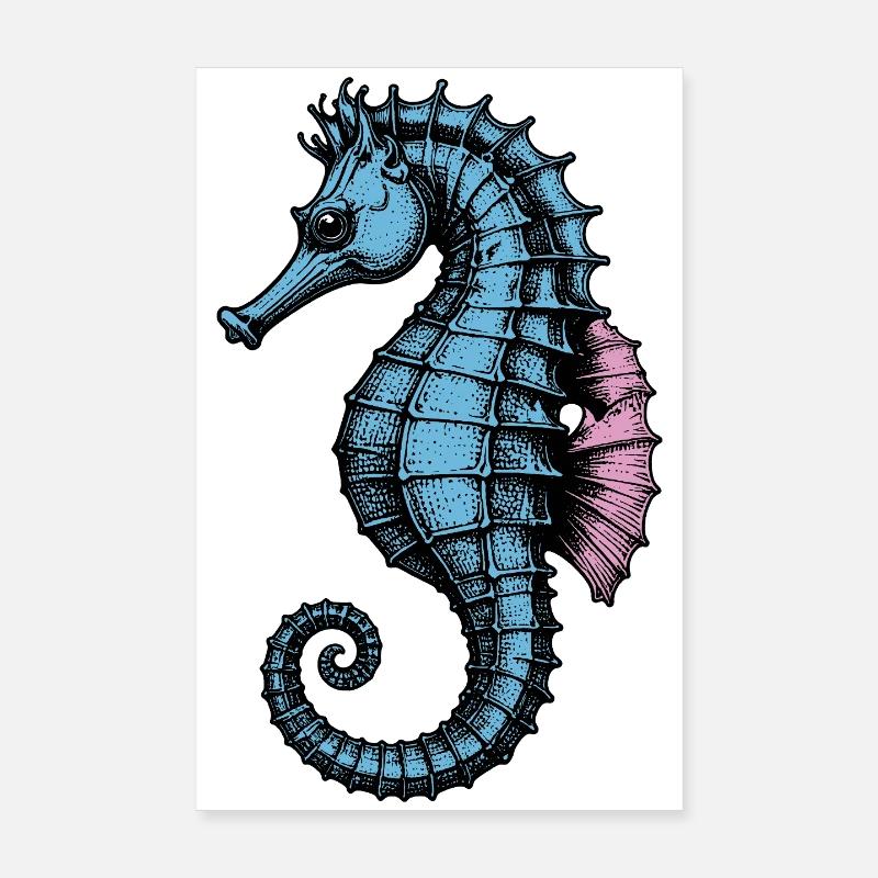 Seepferdchen Poster 20x30 cm