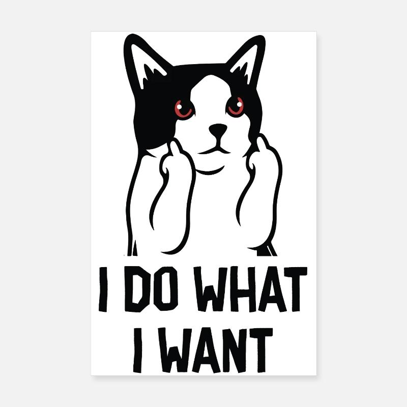 Lustige Katze – Ich mache, was ich will Poster 20x30 cm