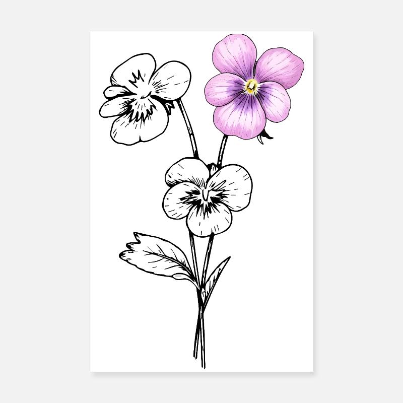 Illustration de fleurs de pensée Poster 20 x 30 cm