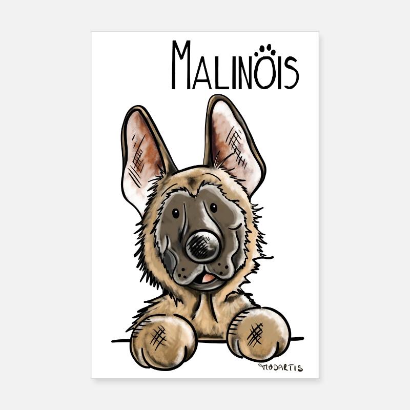 Süßer Malinois - Poster 20x30 cm - Weiß