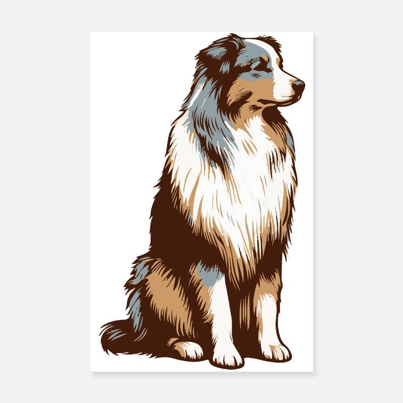 Australian Shepherd - Poster 20x30 cm - Weiß