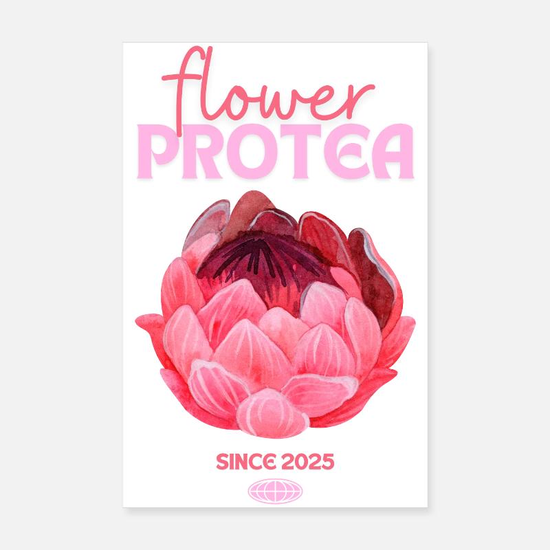 Protea Protea Fleur Proteas Fleurs roses Poster 20 x 30 cm