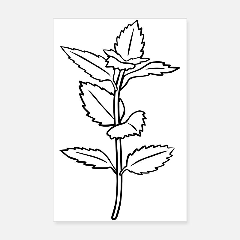 Kräuter-Kontur, schwarz-weiß, einfärbbar - Poster 20x30 cm - Weiß