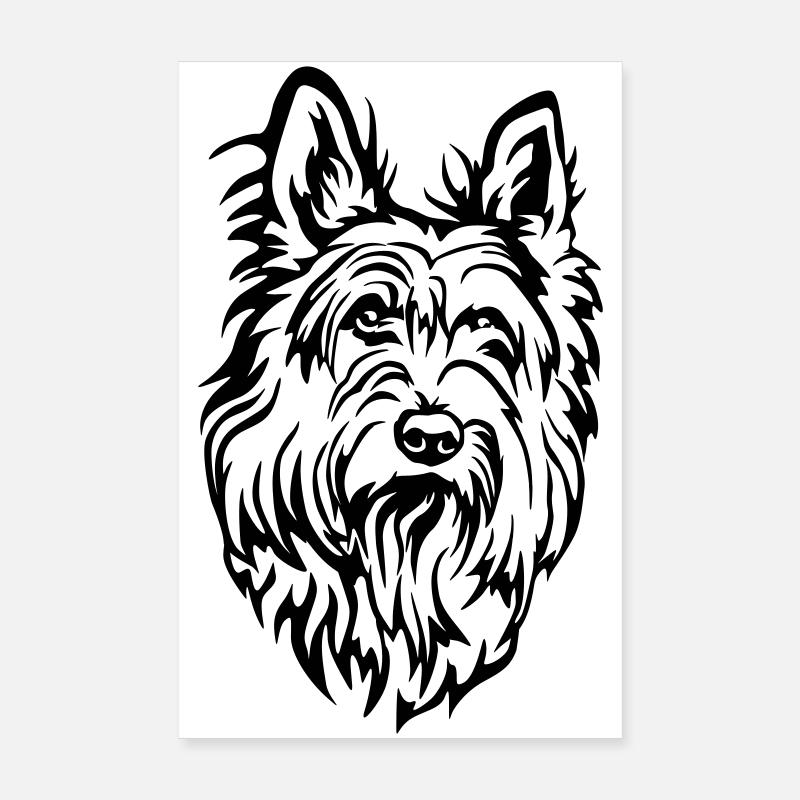 Tête de Picard Poster 20 x 30 cm