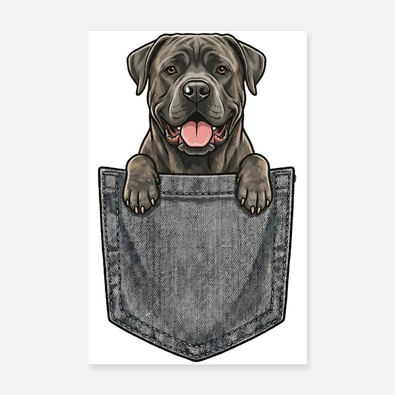 Cane Corso Italien dans la Poche - Chien Molosse Poster 20 x 30 cm