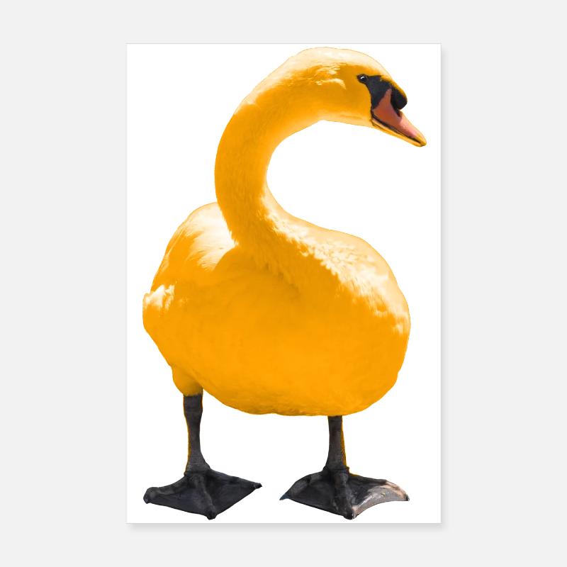 Eleganter Schwan Kunstdruck Poster 20x30 cm