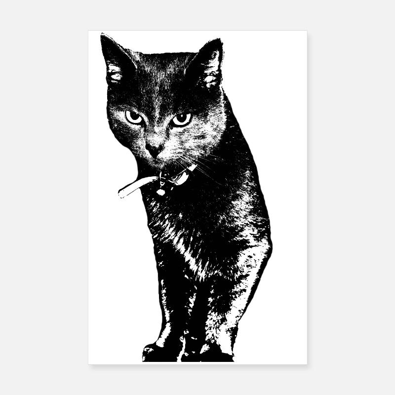 Katze Katzenshirt Geschenk - Poster 20x30 cm - Weiß