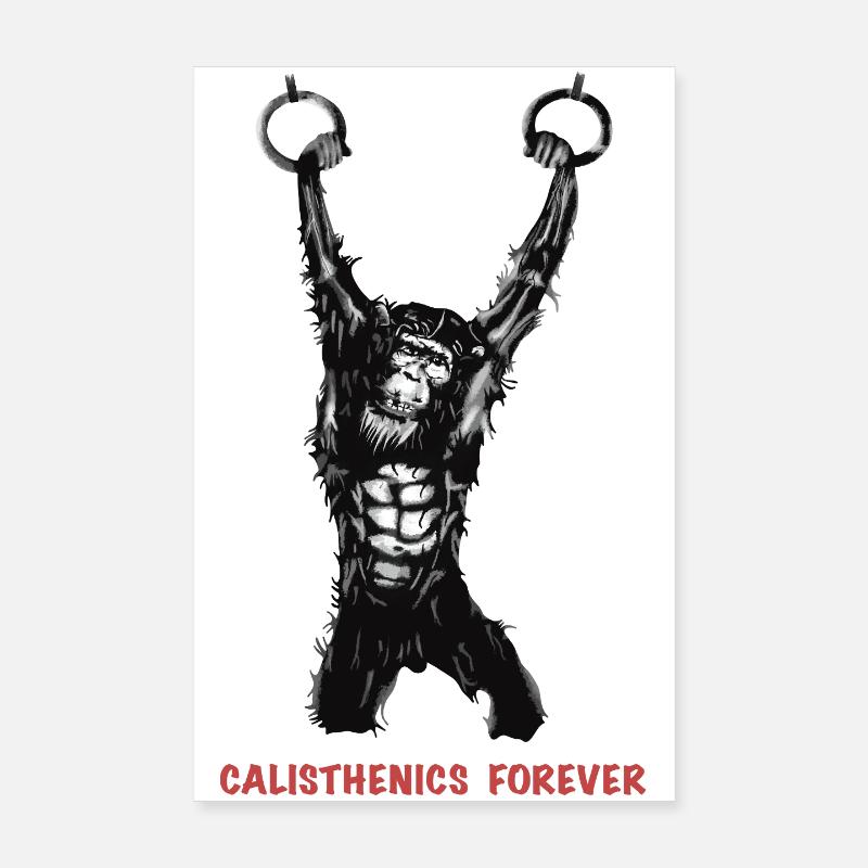 Calisthenics Evolution - Gymnastikringe Poster 20x30 cm